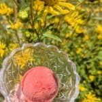 A scoop of pink sorbet sits in a clear dish, surrounded by vibrant yellow flowers.