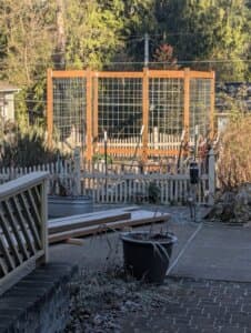 A wooden garden trellis stands behind a fenced area in a backyard.