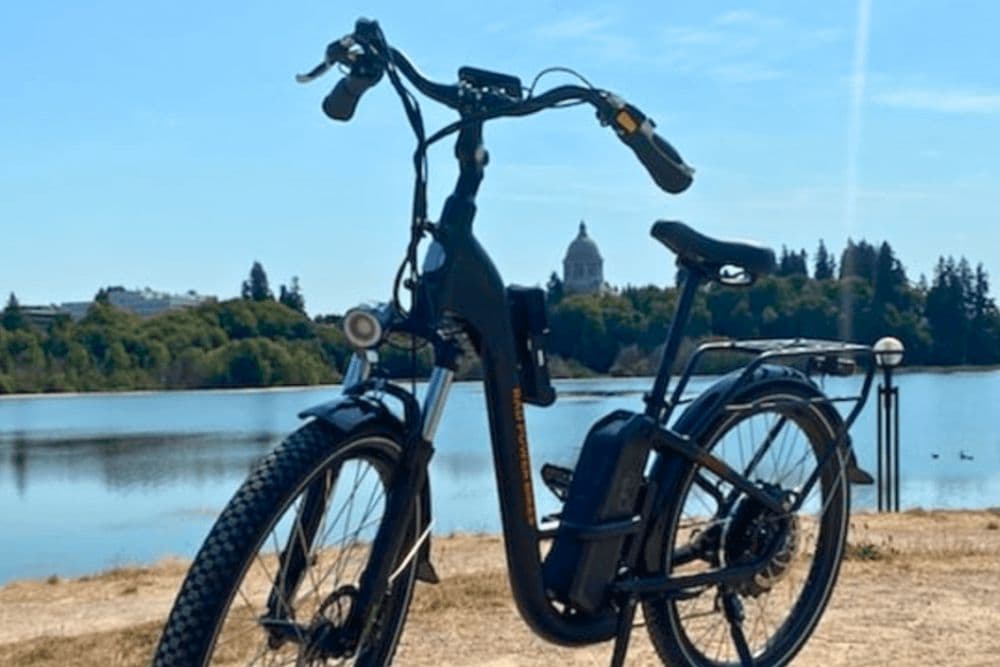 A black electric bike stands on grass by a lake with trees and a dome building in the background.