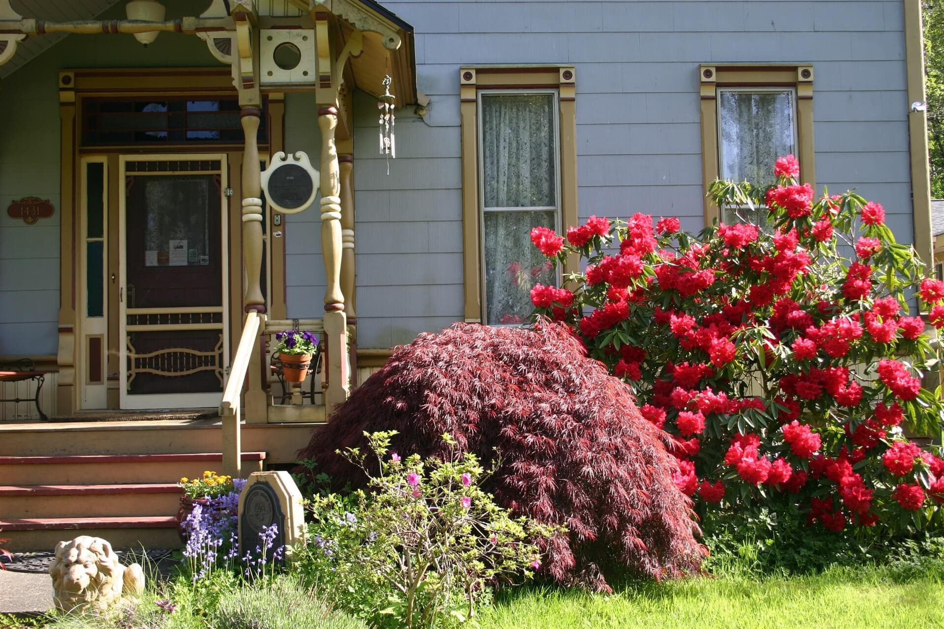 A charming house with a decorative porch surrounded by vibrant red rhododendrons and lush greenery.