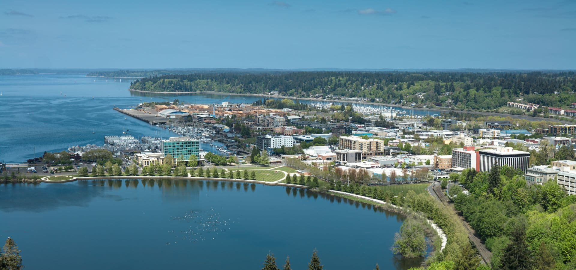 A panoramic view of a waterfront city with a marina, park, and surrounding greenery.