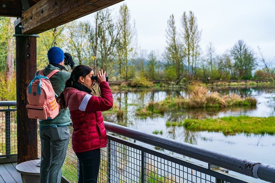Two people observe a scenic wetland from a wooden overlook while taking photos.